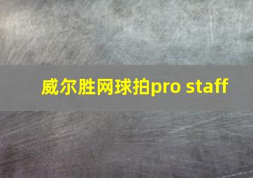 威尔胜网球拍pro staff